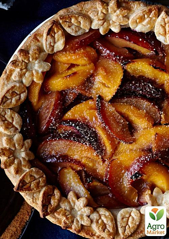 Нектарин "Флейвор Топ" (летний сорт, средний срок созревания) - фото 7