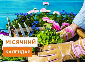 Місячний посівний календар садівника та городника на травень 2023 - корисні статті про садівництво від Agro-Market