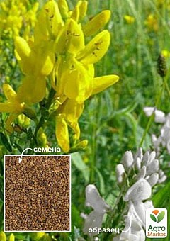 Буркун "Донник смесь" ТМ "Весна" 100г2