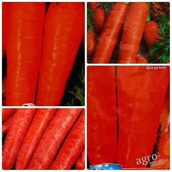 Комплект насіння моркви "Любовь морковь" 5уп
