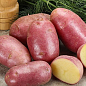 Картопля "Есмі" насіннєва рання (1 репродукція) 5кг