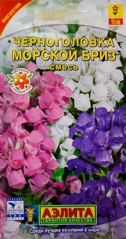 Чорноголова "Морський бриз" ТМ "Аеліта" 0.05г