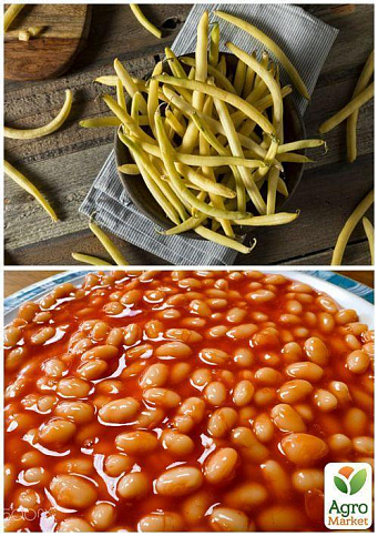 На развес Фасоль "Масляный король" ТМ "Весна" цена за 15г - фото 3