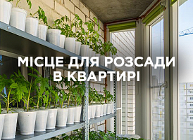 Місце для розсади в квартирі: як створити оптимальні умови | Agro-market