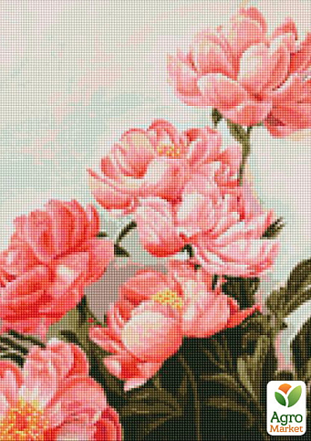 Алмазная мозаика - Букет розовых пион  Идейка AMO7274