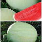На развес Арбуз "Белый" ТМ "Весна" цена за 6г