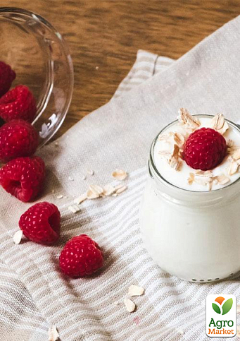 Малина "Недосяжна" (ремонтантний крупноплідний зимостійкий сорт) 1-річний саджанець - фото 3