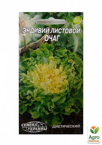 Эндивий листовой "Очаг" ТМ "Семена Украины" 0.5г