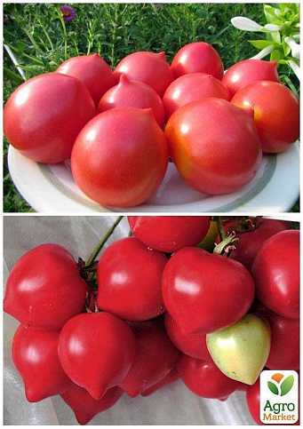 На развес Томат "Батяня" ТМ "Весна" цена за 1г - фото 4