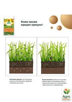 Твердое удобрение длительного действия для газонов (осень) COMPO 4кг (3170)5