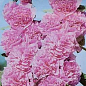 Мальва махровая розовая ТМ "Яскрава" 0.3г