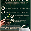 Хоста "Undulata Albomarginata" 