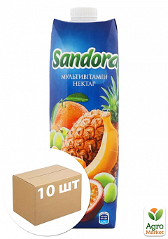 Нектар мультифруктовый ТМ "Sandora" 0,95л упаковка 10шт1