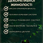 Жимолость Тельмана (Декоративная, плетистая) цена