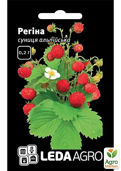 Земляника "Регина" ТМ "Leda Agro" 0,2г2