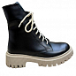 Женские ботинки зимние Amir DSO027 37 23,5см Черные
