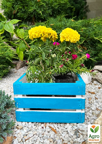 Ящик декоративный деревянный для хранения и цветов "Джусино" д. 22см, ш. 20см, в. 13см. (синий)