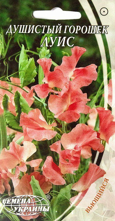 Духмяний горошок "Луїс" ТМ "Насіння України" 1г