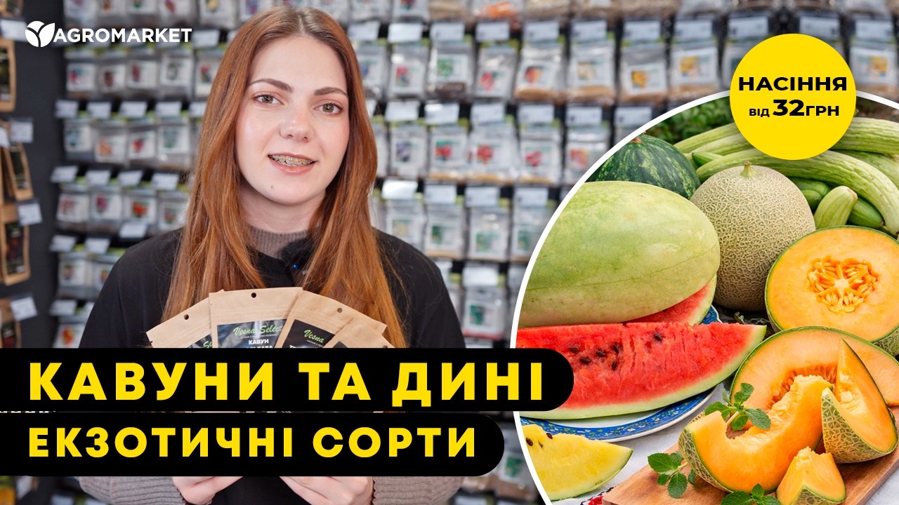 Арбуз "Янусик" ТМ "Vesna Select" 20шт