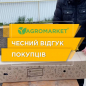 Барбарис "Амурский" (Amur) (один из самых популярных сортов в мире) цена