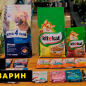 Лакомства Зернятко и К Травка для котов (пакет)   40 г (0181961)