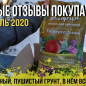 Томат "Золотой поток" ТМ "Весна" 0.1г
