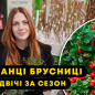 Брусника "Руно" (поздний срок созревания, очень урожайный сорт)